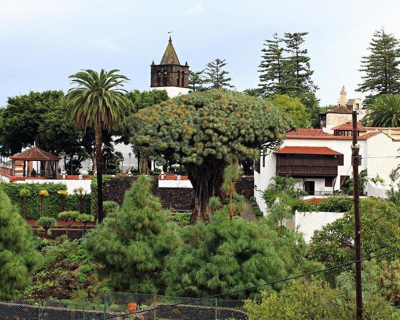 Icod de los Vinos, Espagne