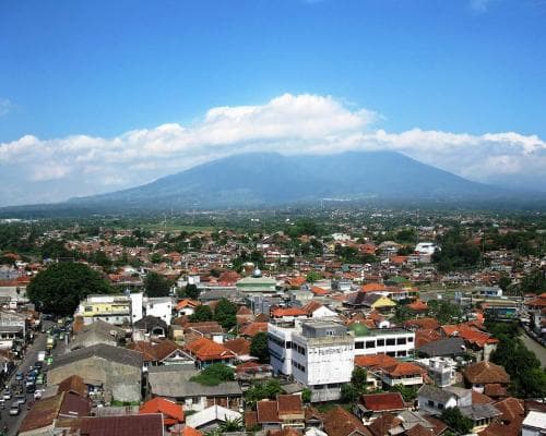 Giardini Botanici di Bogor