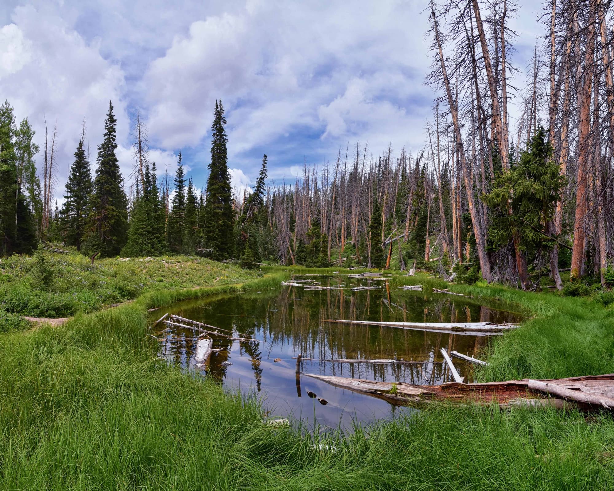 Cedar City UT, Verenigde Staten