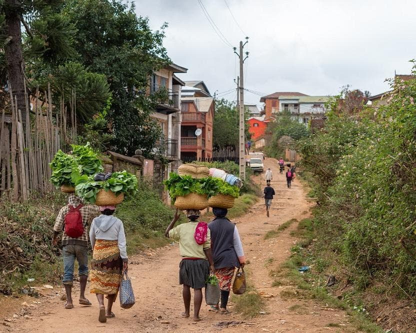 ESENCIAS DE MADAGASCAR
