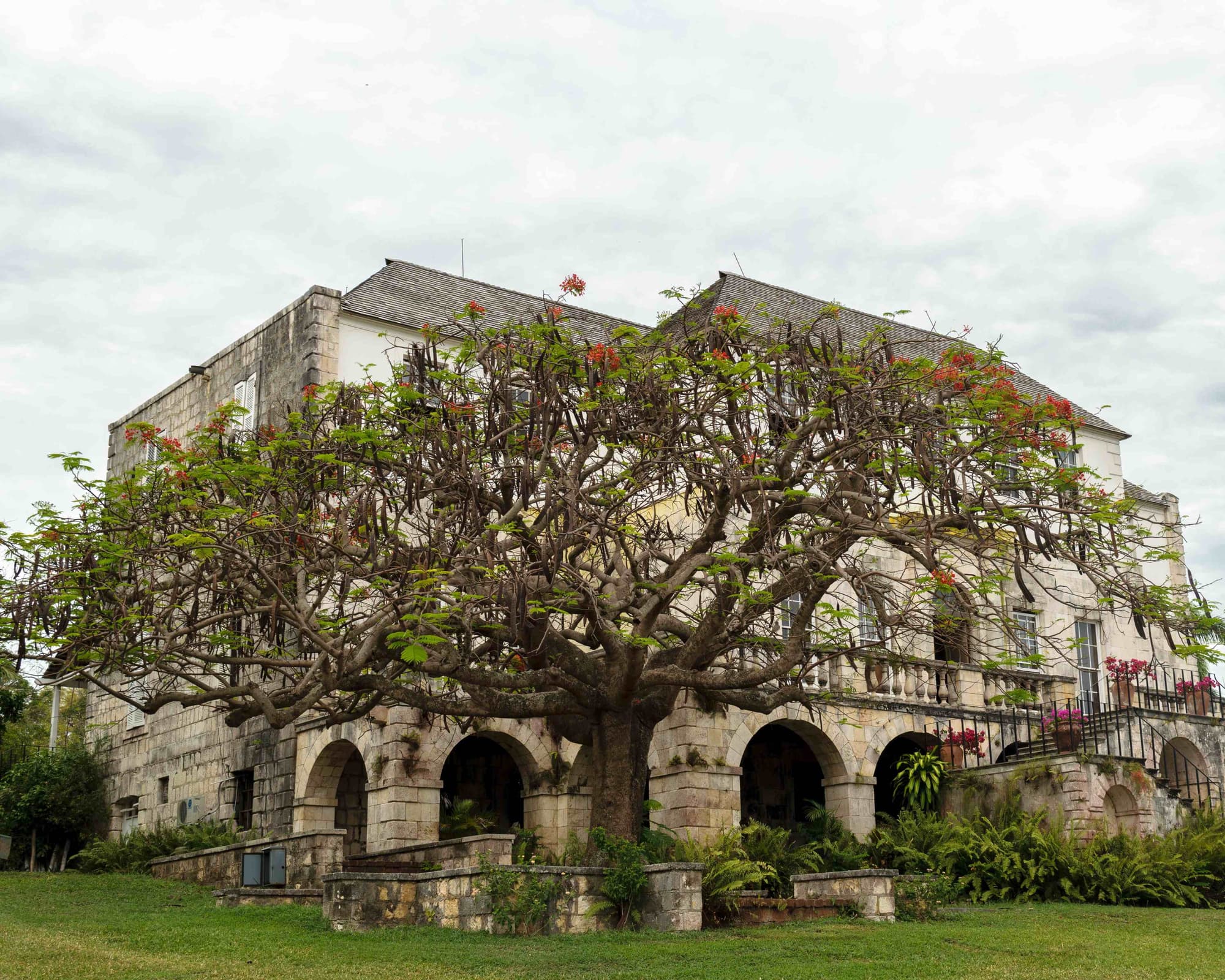 Rose Hall, Jamaica