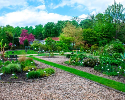 ALEMANIA DIFERENTE 2026/2027