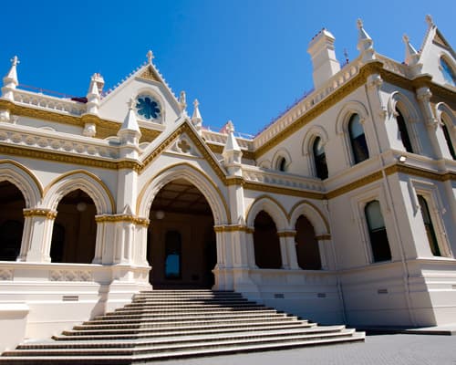 PUKEKO 12 DIAS ISLA NORTE Y SUR CON WELLINGTON 2025/2026