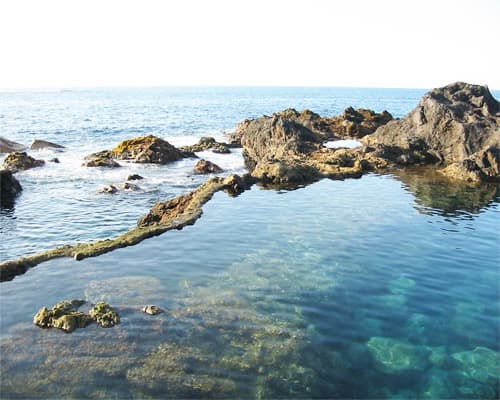 A la découverte des Iles Canaries