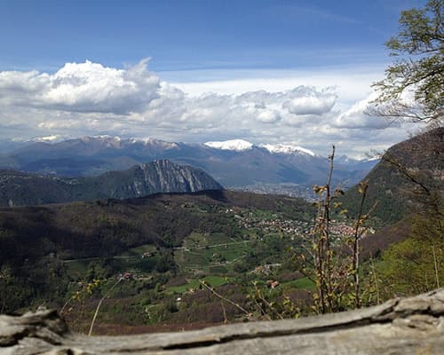Trenes Panorámicos Suizos 