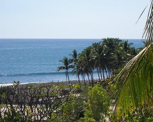 Total Central America: Two Months of Wild