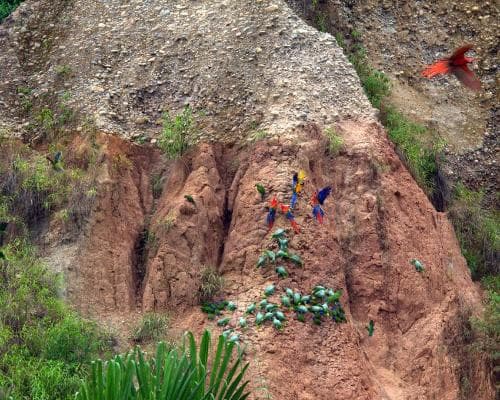 Peru Family Experience