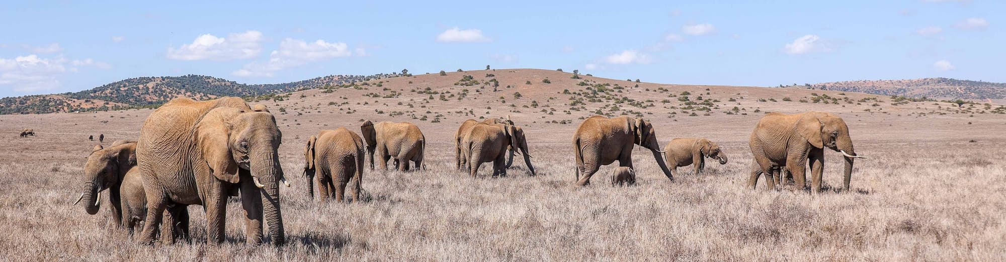 Лайкипия, Кения
