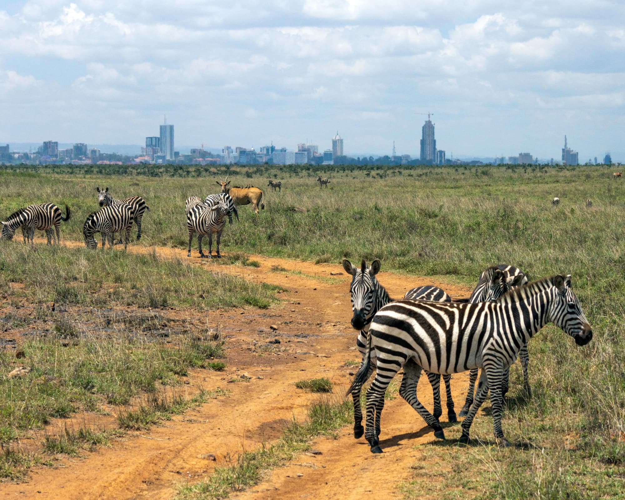 Nairobi National Park, Kenya