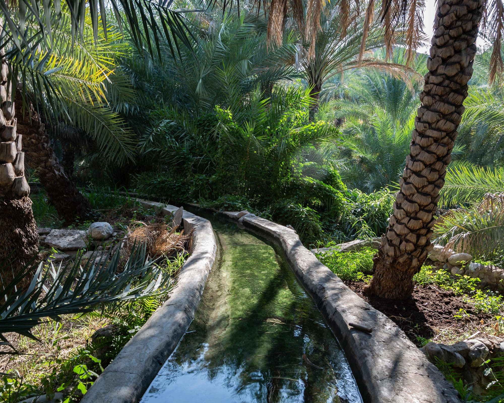 SuitesTour Oman - Mare Arabico 9 notti