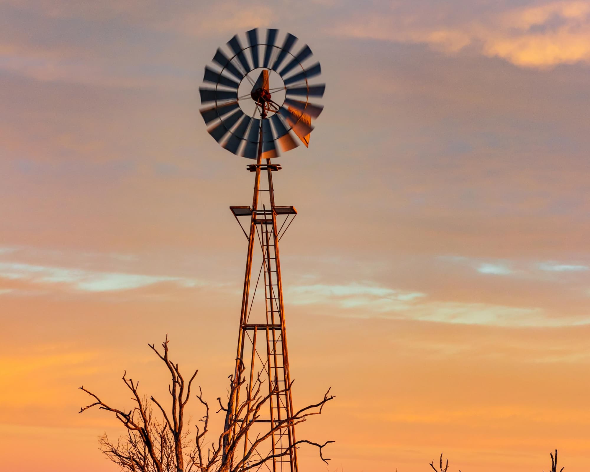 Fort Stockton TX, Estados Unidos da América