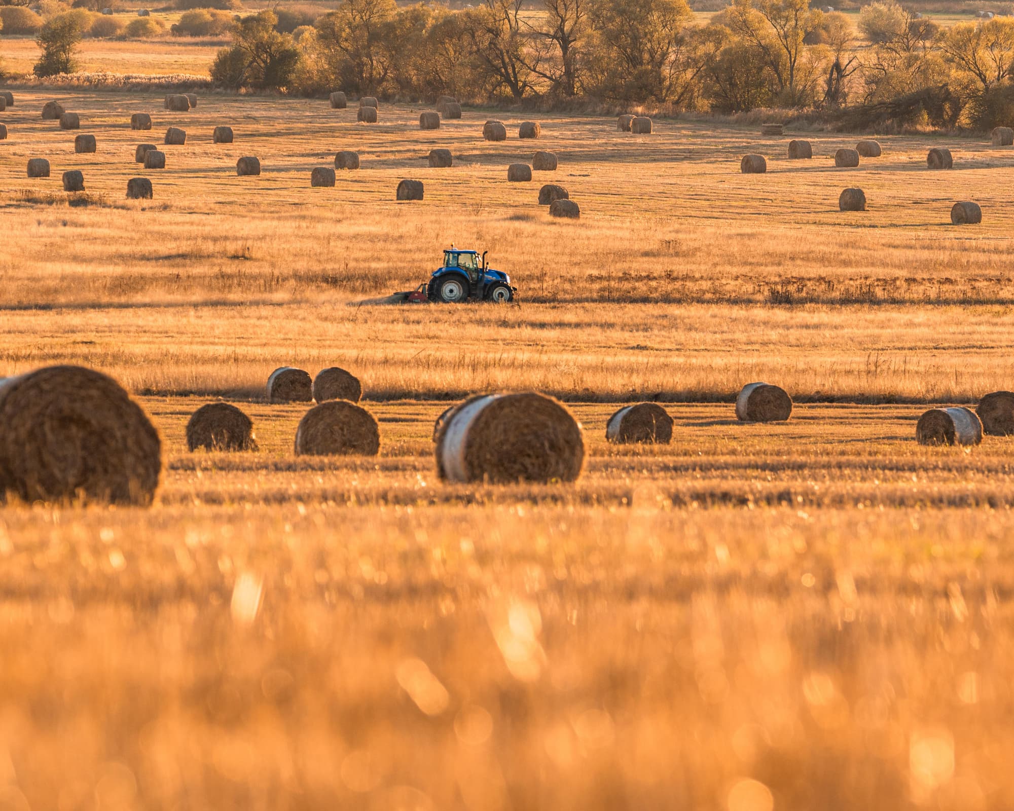 Goljam Izvor, Bulgaria