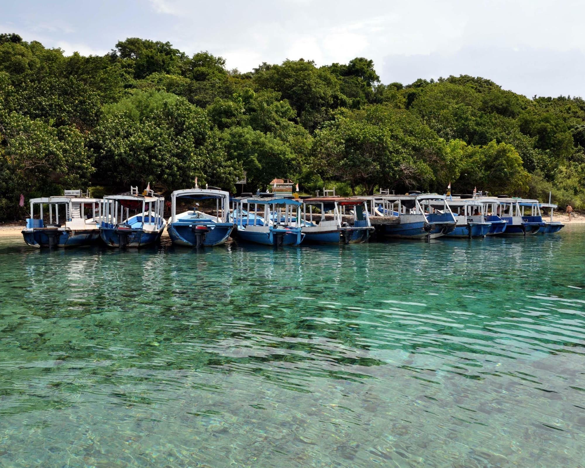 Menjangan, Indonesia