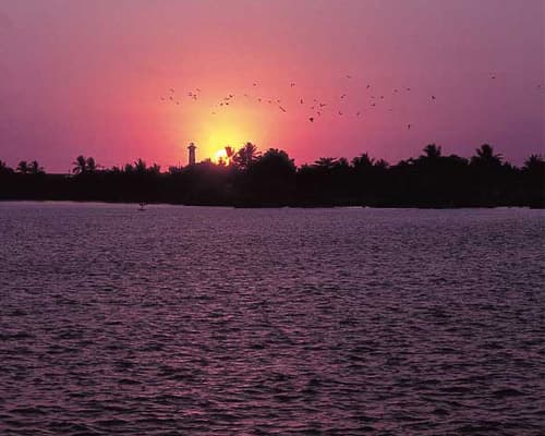 RUTA DE CAFÉ EN CHIAPAS 