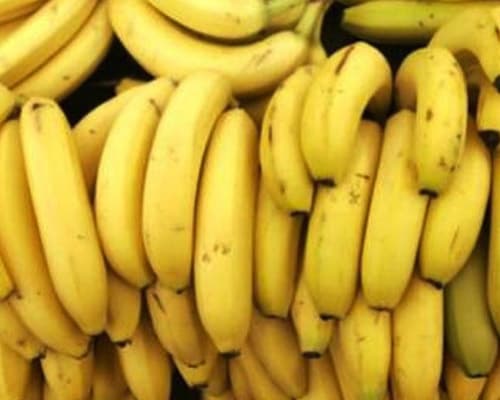 RUTA DE CAFÉ EN CHIAPAS 