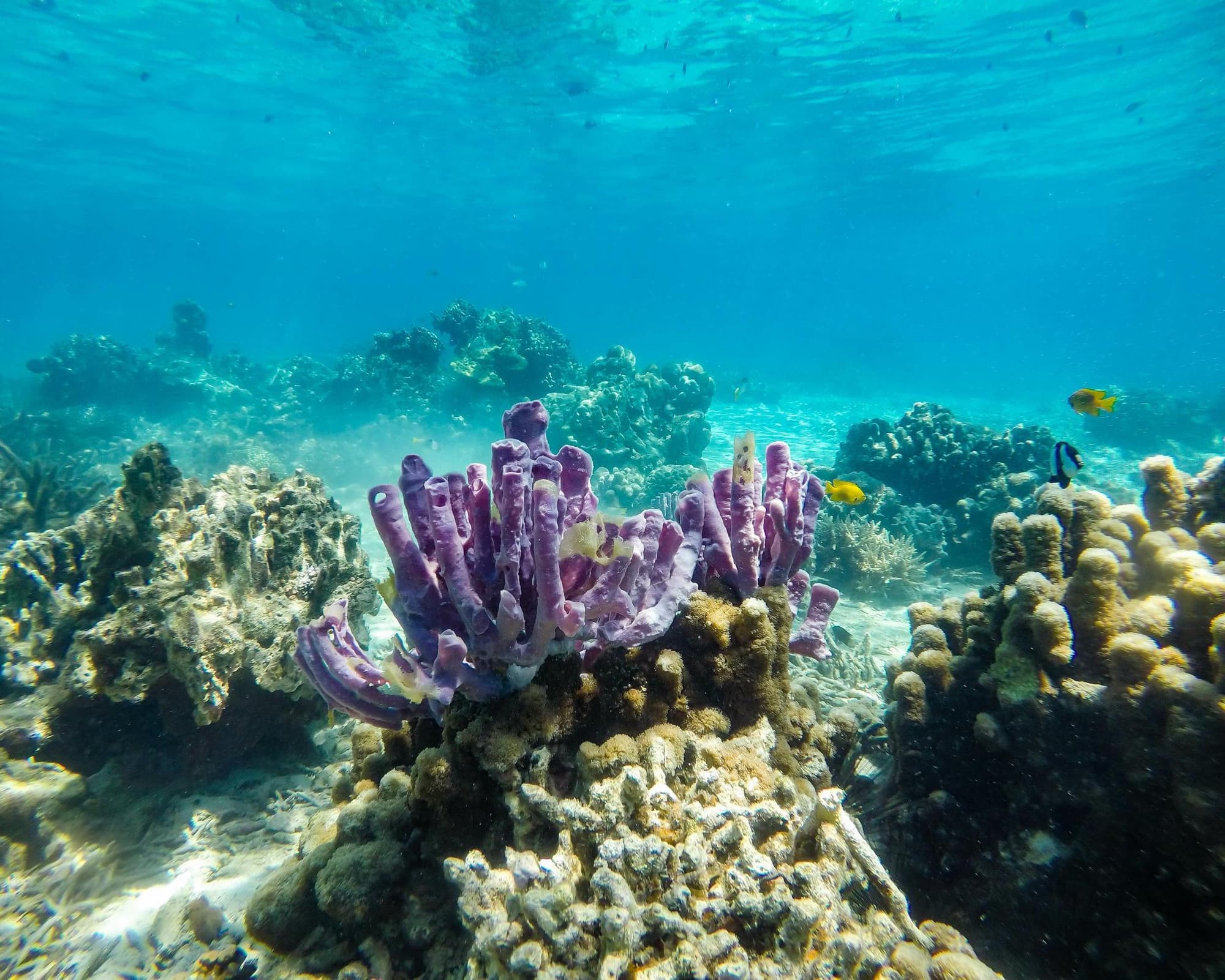 Highlights of Madagascar