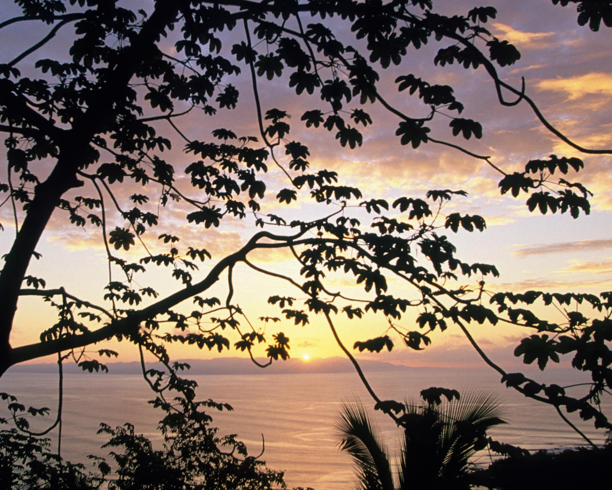 Total Central America: Two Months of Wild