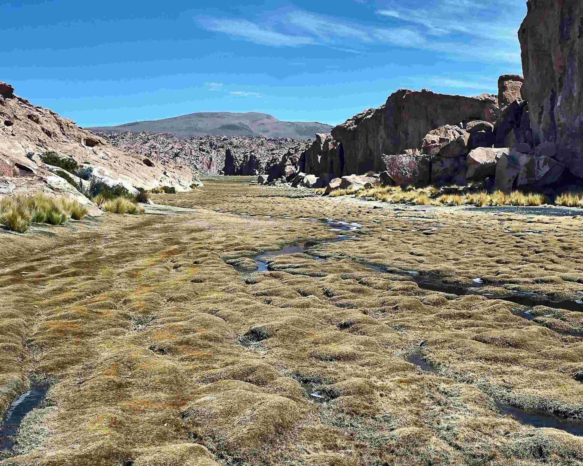 Villamar Mallcu, Bolivia