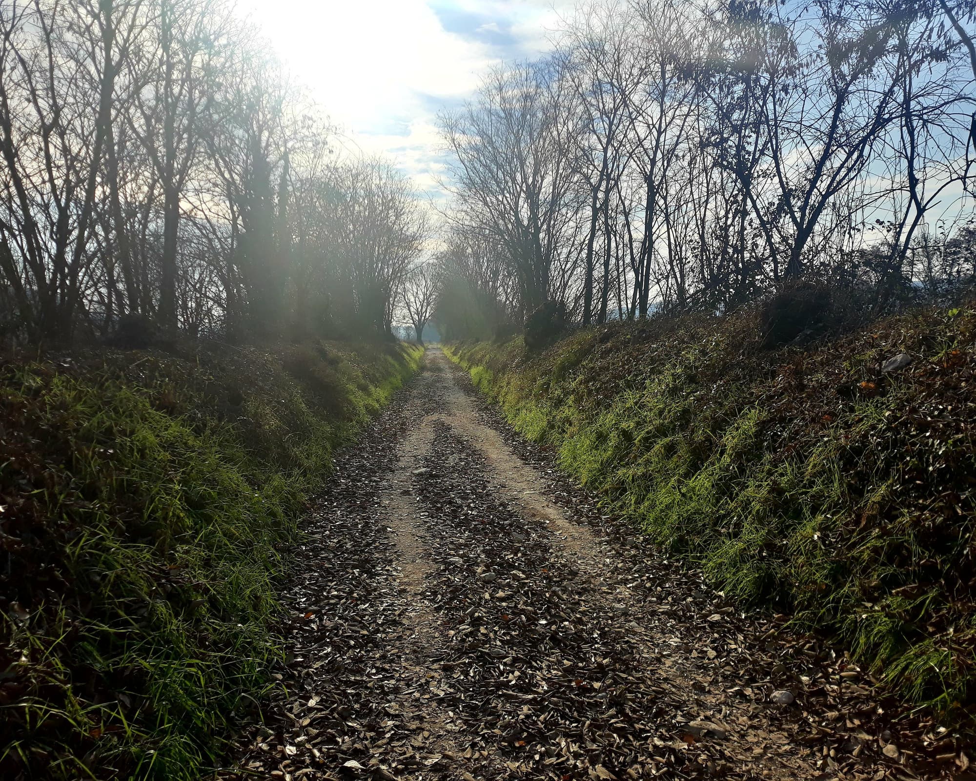 San Martino Buon Albergo, Italia