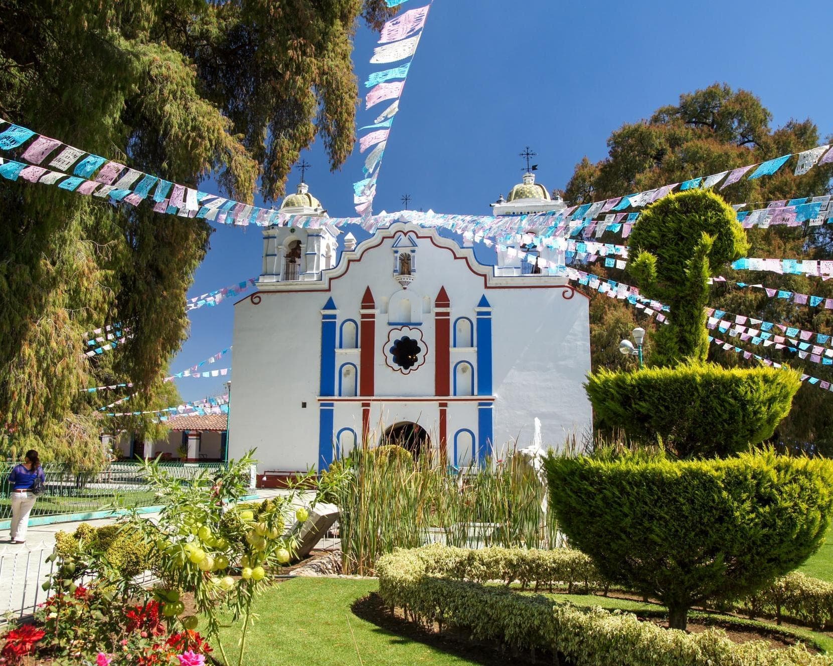 Árbol del Tule, Mexico