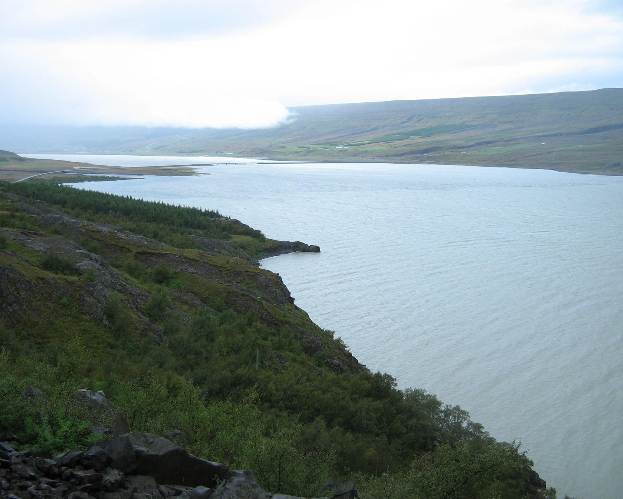 Hallormsstadhaskogur, Islandia