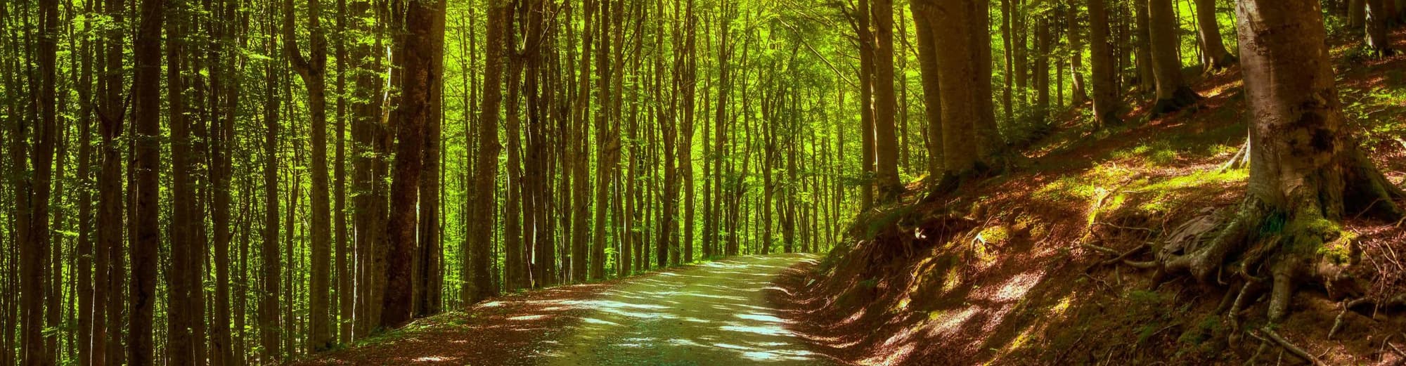 Badia Prataglia, Italia