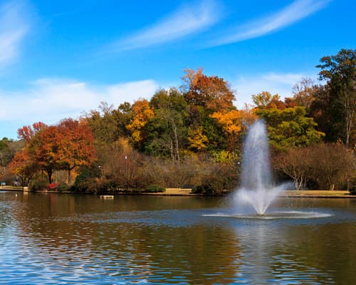 CARIBE - STAR OF THE SEAS