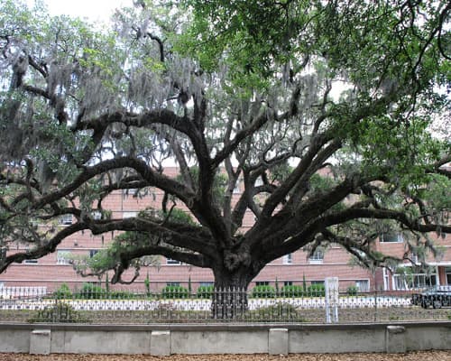 Skyline to Sunshine with Miami Beach