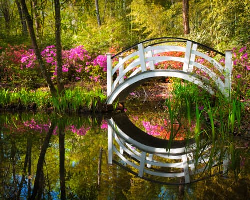 Skyline to Sunshine with Miami Beach