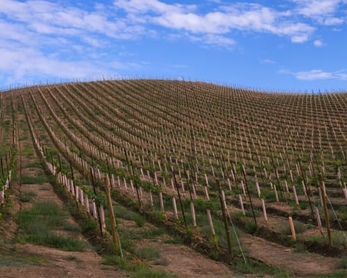 The Land of Endless Skies & National Parks - Standard