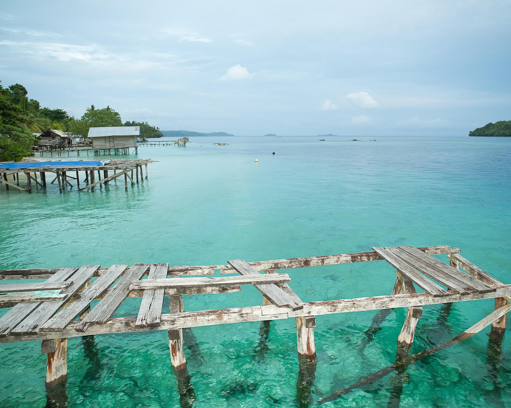 Dive Into Raja Ampat