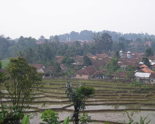 Giardini Botanici di Bogor