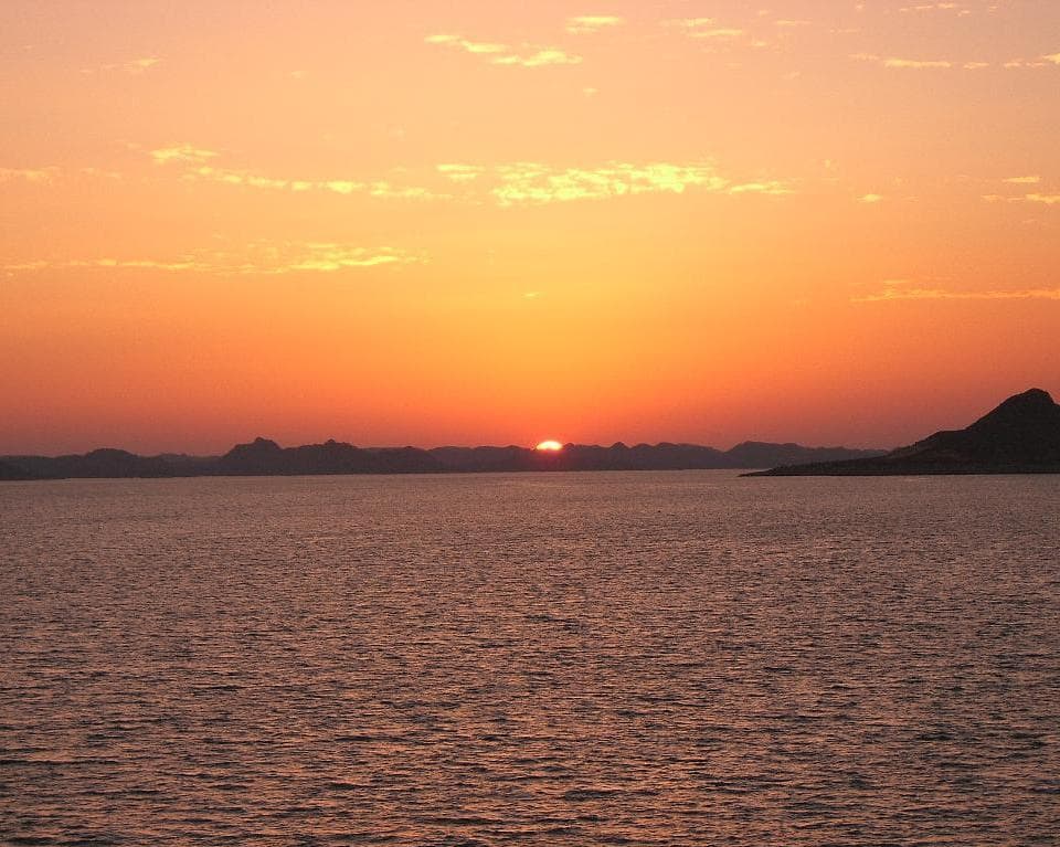 MANDOLIS 2026 - Salidas Viernes