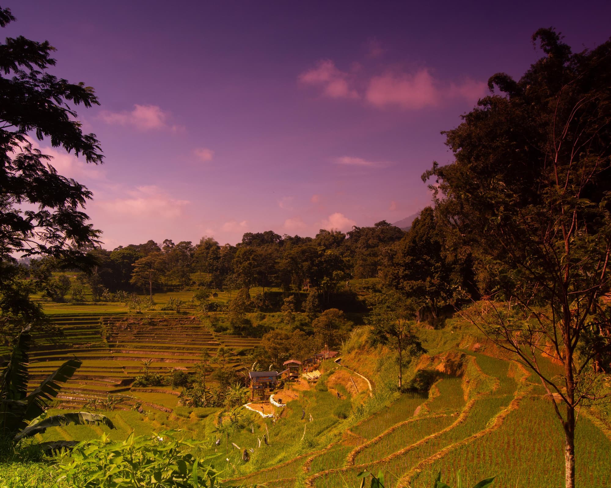 Java Bali Overland Include Ijen Trekking - Deluxe Category