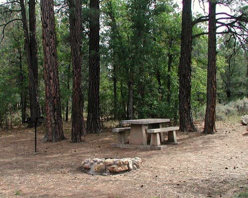 The Great West - Economy