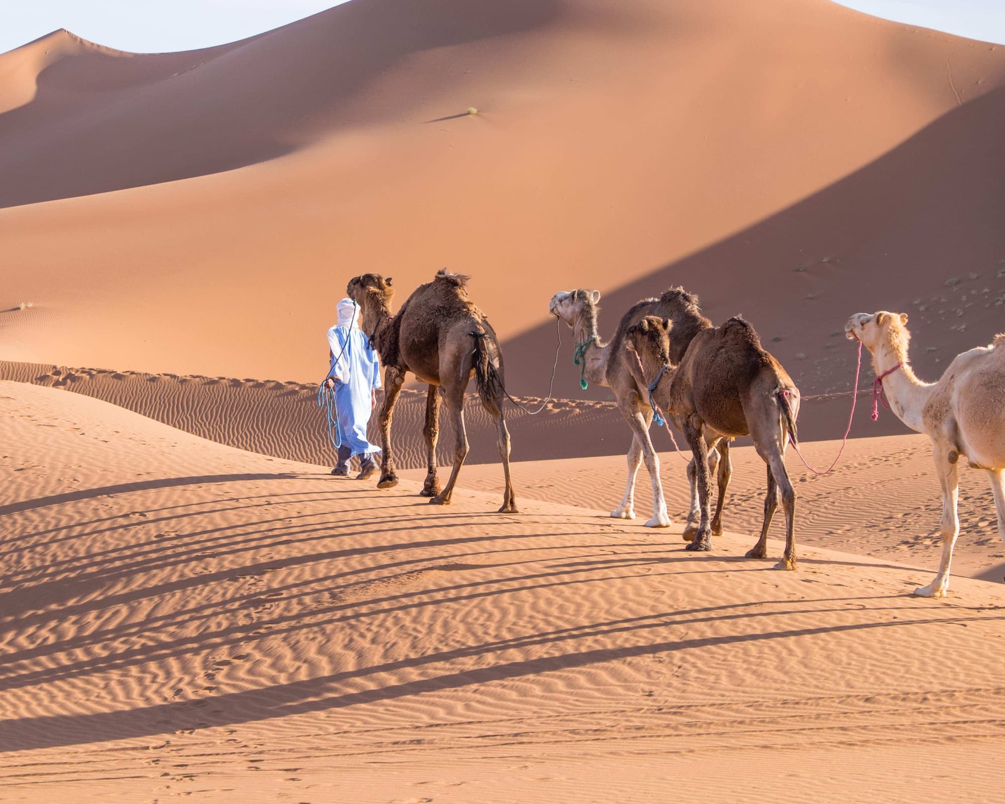 Erg Chigaga, Morocco