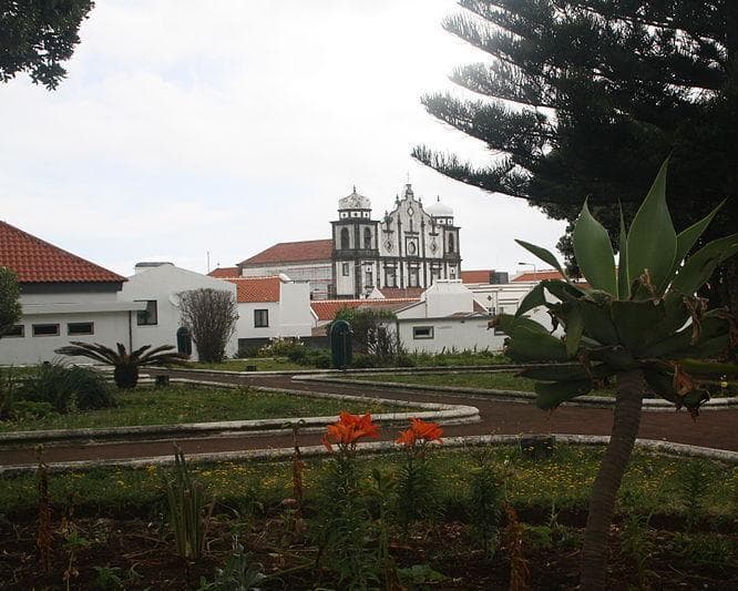 250202 - Açores: Flores