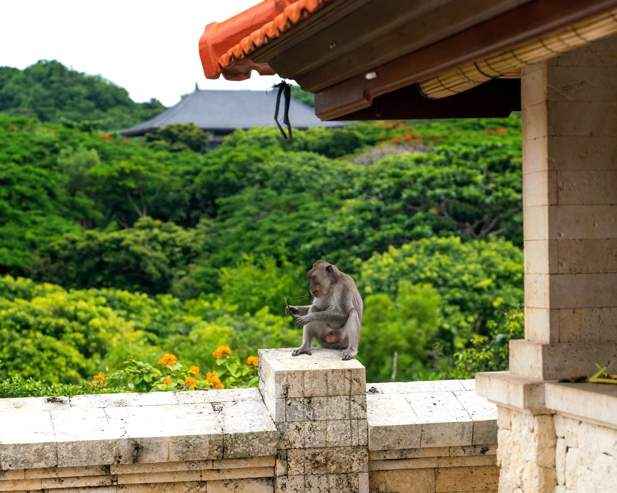 Combiné Bali Lombok : rizières et plages - 14 nuits - EUR