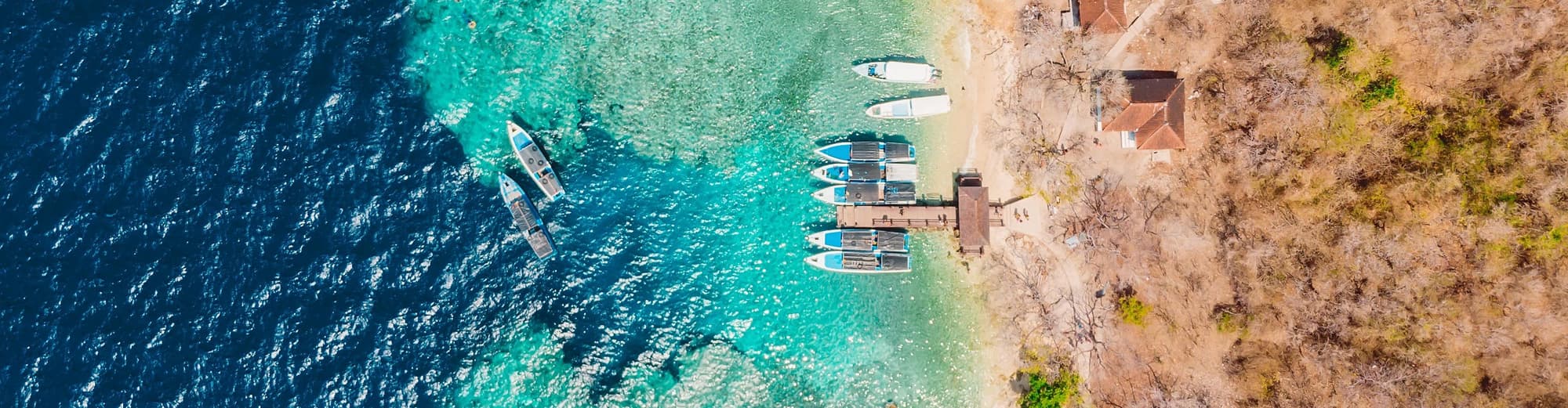 Menjangan, Indonesia