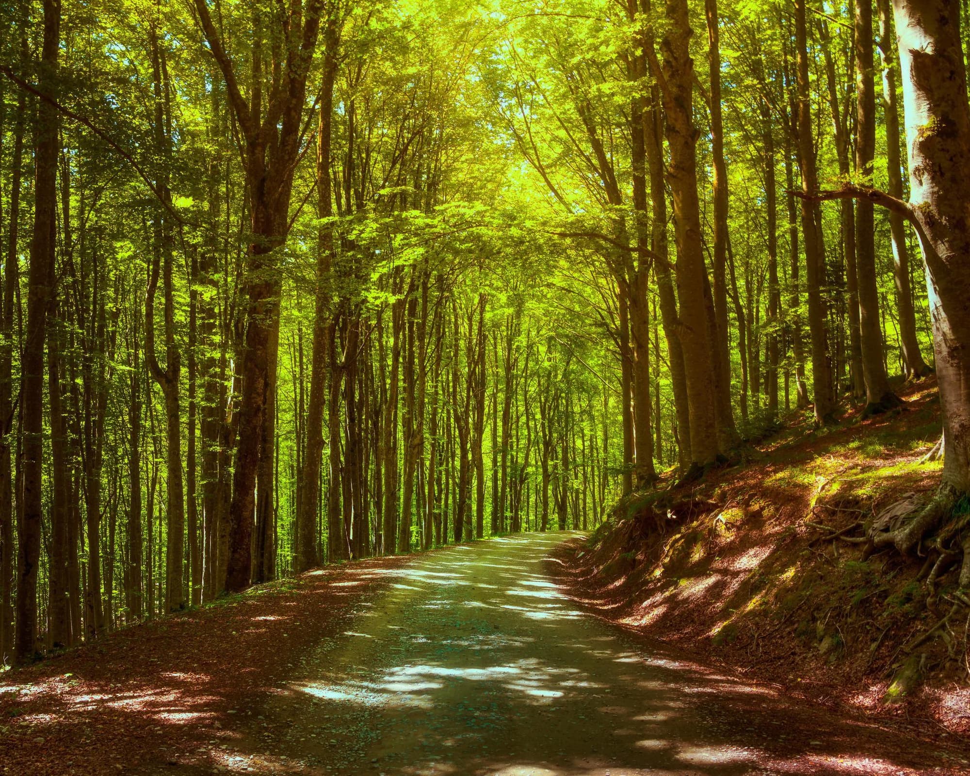 Badia Prataglia, Italia