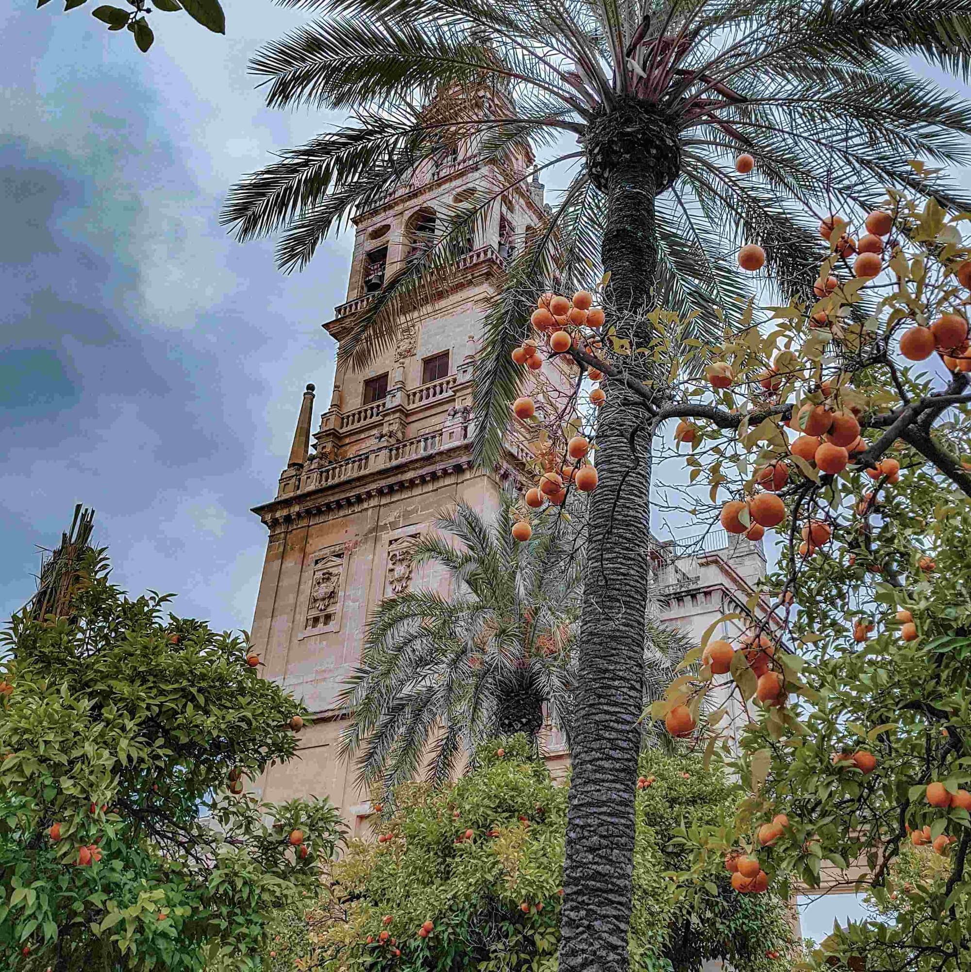 2° GIORNO: Madrid - Cordova - Siviglia