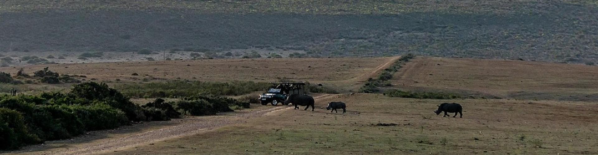 Garden Route Game Lodge, South Africa