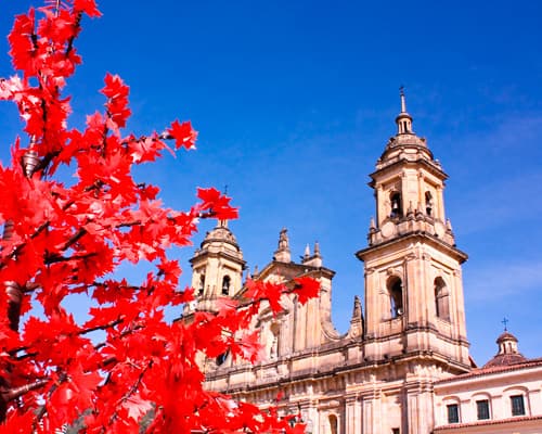 Celebra en Colombia  con vuelo 