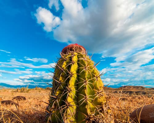 Desierto de la Tatacoa