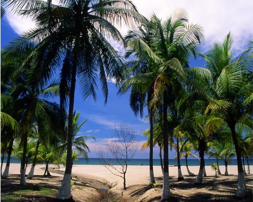 Lo Mejor de Honduras