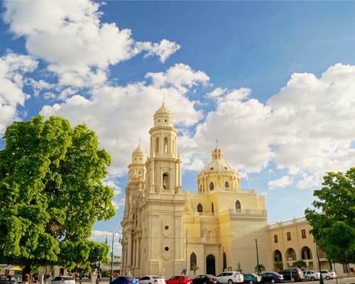 DUNAS Y PLAYAS SONORENSES