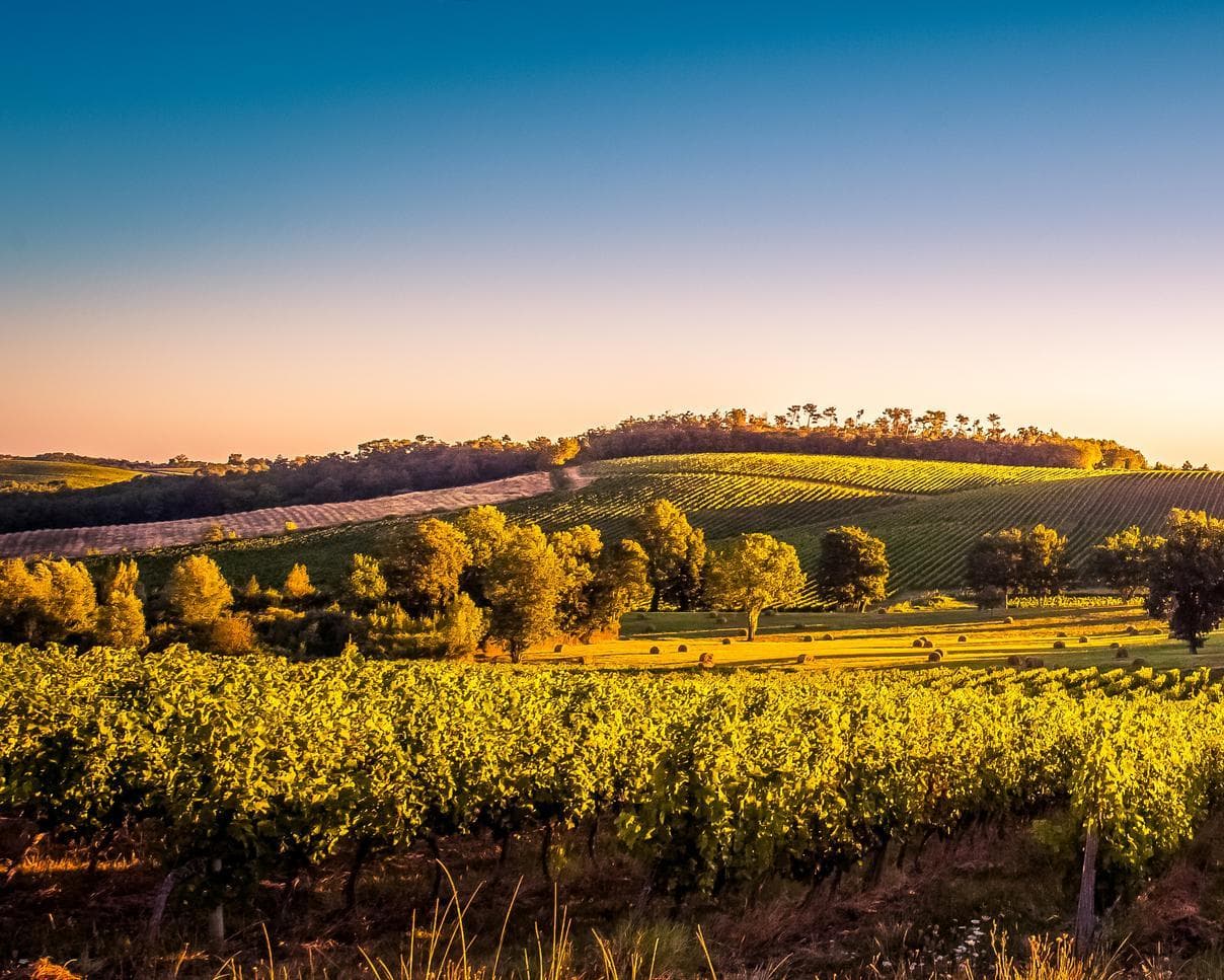 Bordeaux et sa région : itinéraire découverte