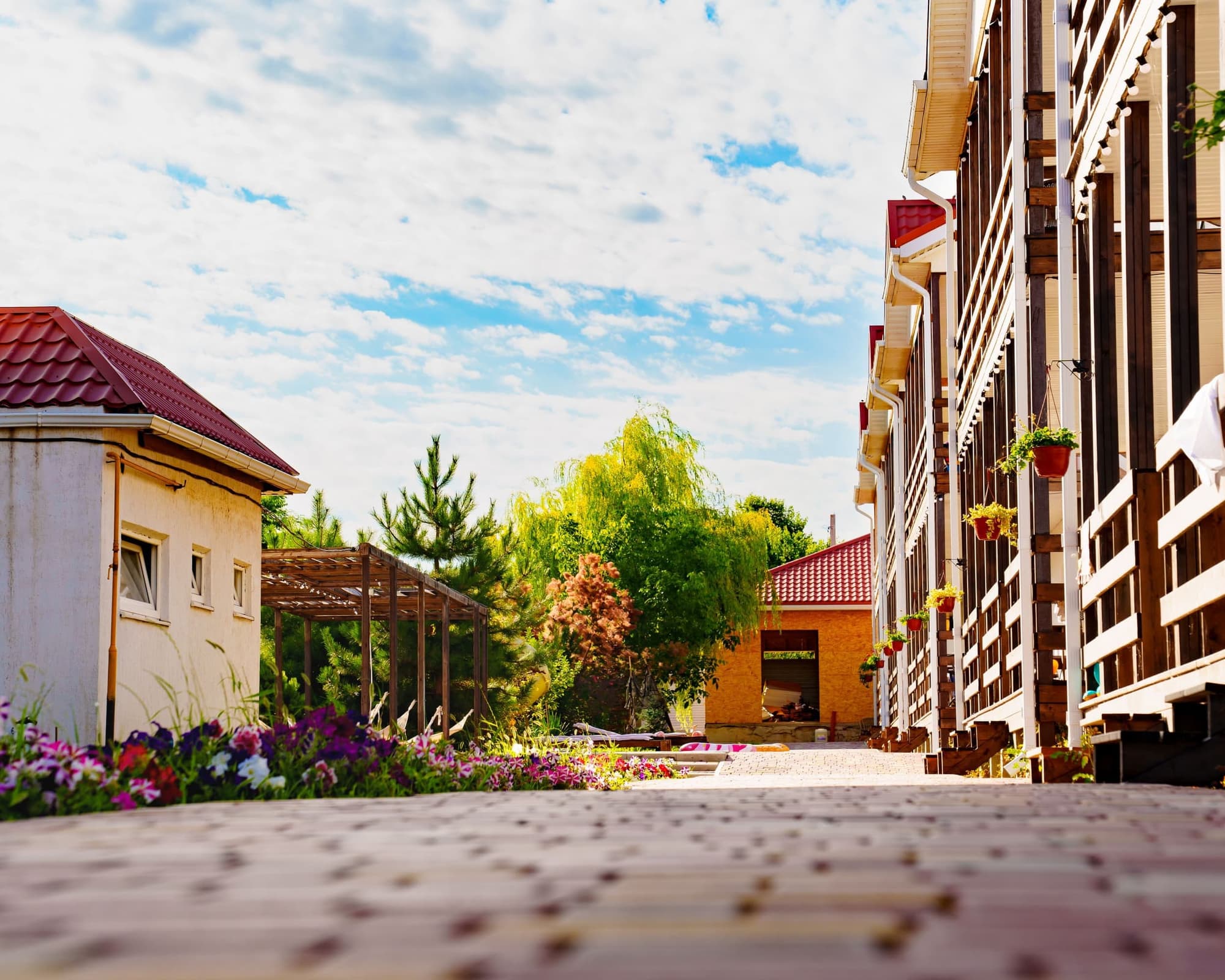 Pavel Banya, Bulgaria