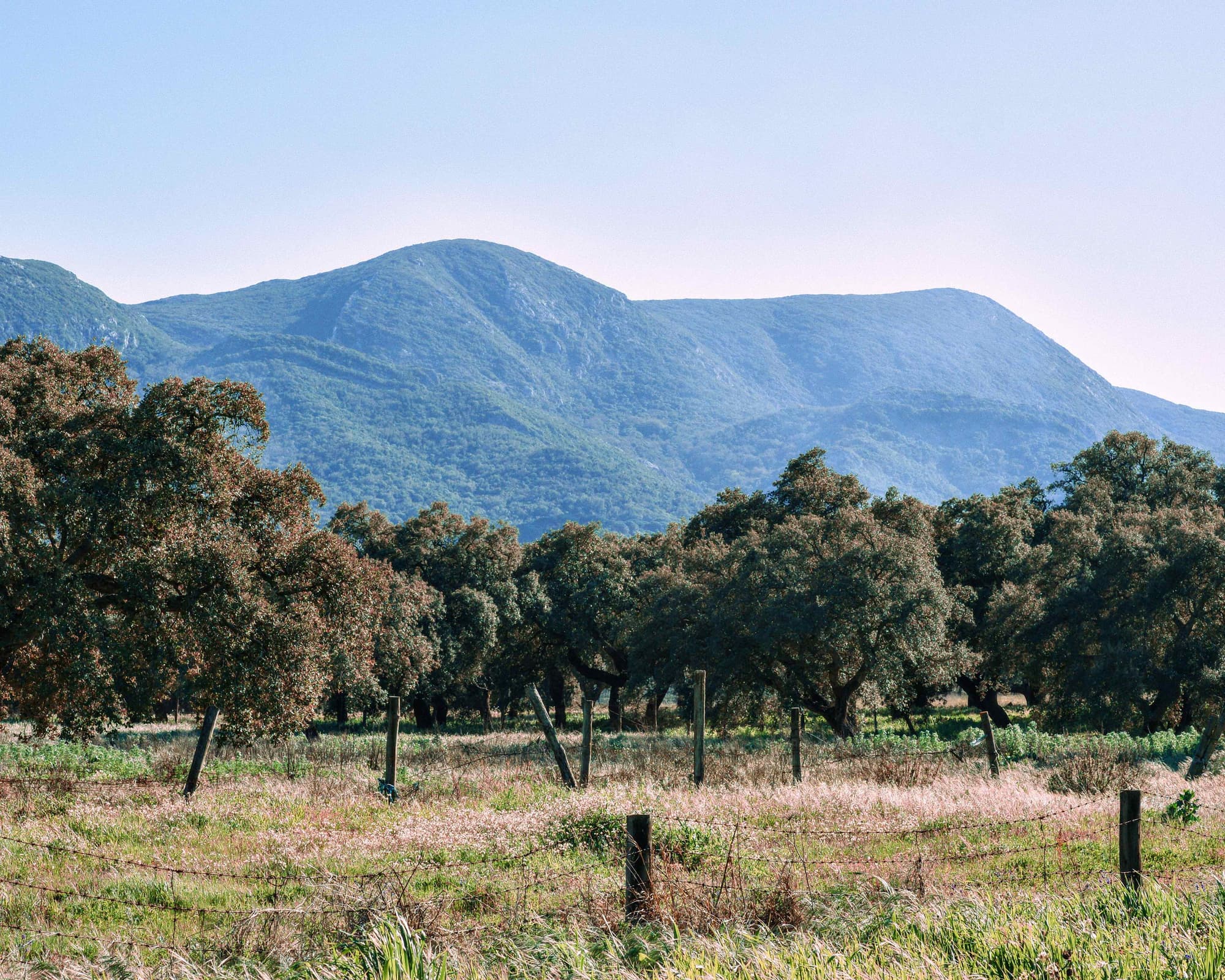 Portalegre, Portugal