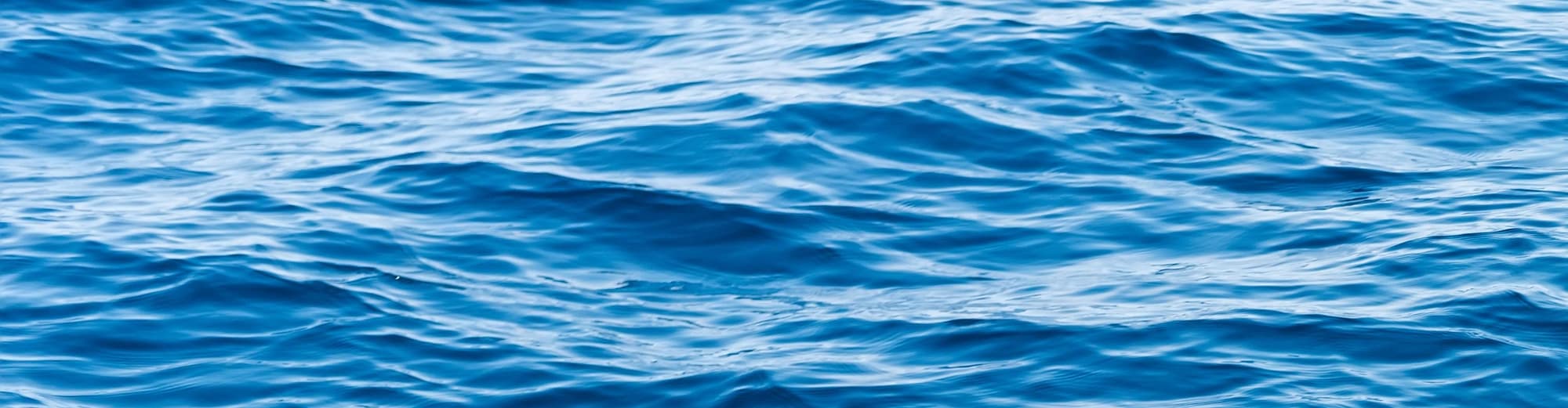 In Navigation Gdynia, Polonia